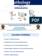 PATHOLOGY - 03 -  Inflammation