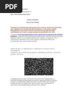 Documento (1)