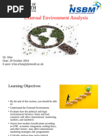 External Enviornment Analysis