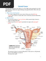 CASE 22 - Cervical Cancer