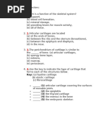 Anatomy chp review question 