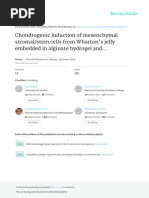 Chondrogenic Induction of Mesenchymal