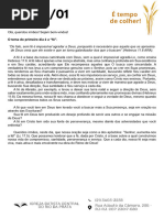 PDF Documento