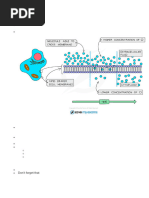 Chp.3 Movement Into and Out of Cells - Copy