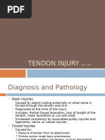 10- Tendon Injury_Final