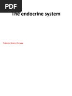 Endocrine & CNS (Premedical Spring 23-24)