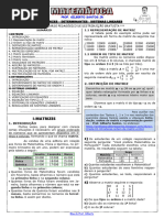 Apostila de Matrizes, Det e S.L. (11 páginas, 42 questões, DE VÍDEO, 2020, com BNCC)