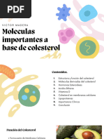 5.2 Moleculas a Base de Colesterol, Victor Madera 1C