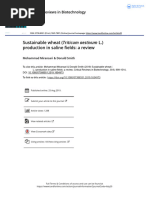 Sustainable wheat Triticum aestivum L production in saline fields a review