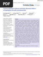 Chen et al. - 2023 - Various topological phases and their abnormal effe