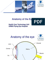 Anatomy of The Eye