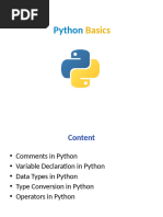 Python Basics