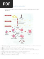 Ficha de Trabalho - Sistema Imunitário (3) Resolução