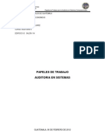 Papeles de Trabajo Auditoria en Sistema