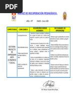 MATRIZ DE RECUPERACIÓN PEDAGÓGICA 3° AÑO