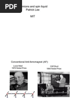 Patrick Lee - Fermions and Spin Liquid