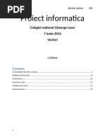 Proiect informatica