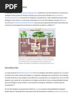 PDF Documento