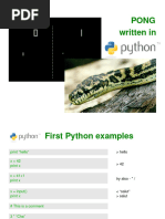 python_pong