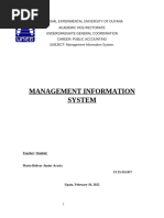 management information system