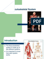 Musculoskeletal System