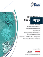 Ubiquitin and UBL Signaling