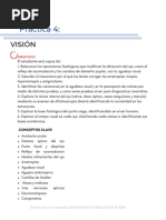 4. Visión.pdf