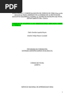 PDF Documento