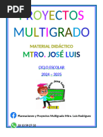 Proyectos_ Mtro Jose Luis