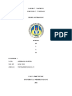 Laporan Survey Memanjang Dan Melintang