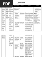 Nursing Care Plan 2