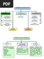 Mapa Conceptual