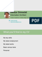 Resume - Balazs Domsodi