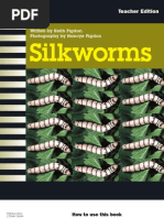 23 Silkworms