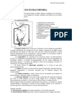 Circulacion Extracorporea