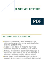 Sistemul Nervos Enteric