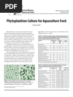 Phytoplankton Algae Culture