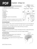 The Endocrine System (Notes)