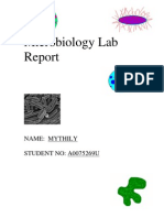 Microsoft Word - Microbiology Lab Report