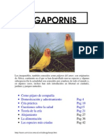 Manual de Agapornis