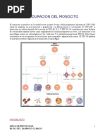 Maduracion Del Monocito