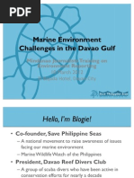 Marine Environment Problems in Davao Gulf