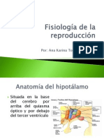 Fisiología de La Reproducción