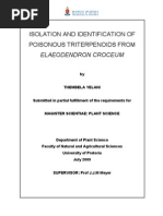 Dissertation No Restriction