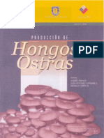 Hongos Ostra