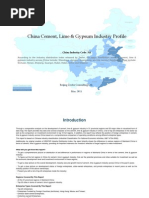 China Cement Lime Gypsum Industry Profile Cic311