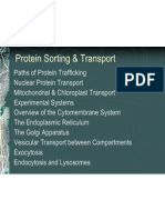 Protein Sorting and Transport