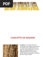 Clasificacion y Distribucion de La Madera