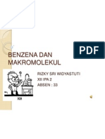 Benzena Dan Makromolekul