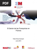 El Sector de La Franquicia en Francia